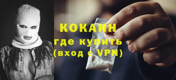 индика Зерноград