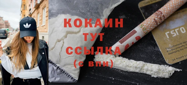 индика Зерноград