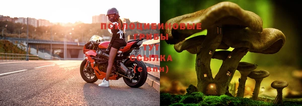 дживик Сафоново