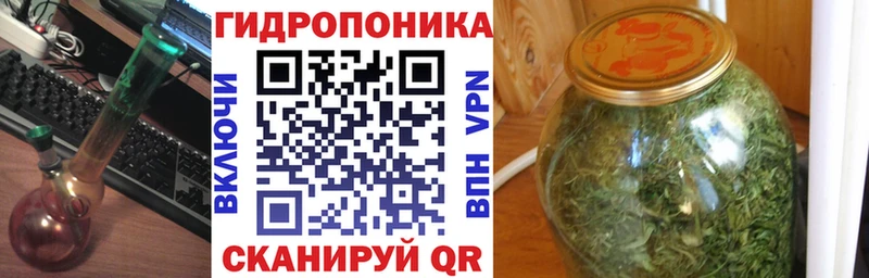 Канабис SATIVA & INDICA Снежинск